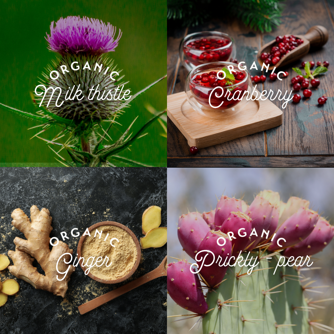 Maxion Digest Ease, 153g Powder with Milk Thistle, Ginger, Cranberry and Prickly-Pear Leaf to Help Relieve Nausea and Digestive Spasms
