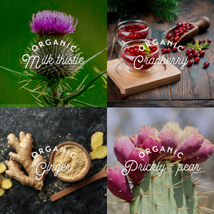 Maxion Digest Ease, 153g Powder with Milk Thistle, Ginger, Cranberry and Prickly-Pear Leaf to Help Relieve Nausea and Digestive Spasms