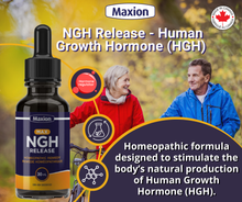 Charger l'image dans la galerie, <transcy>Max NGH Release - Hormone de croissance humaine</transcy>